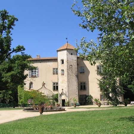 Chateau De La Chassaigne Apartment Thiers Room photo